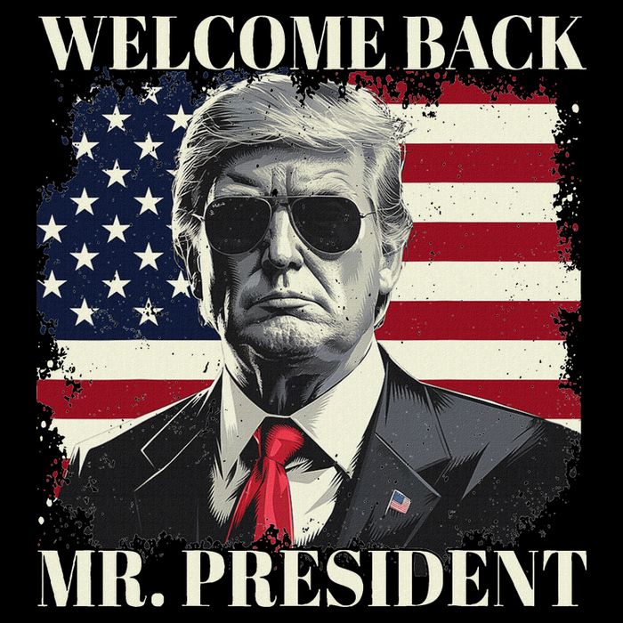 Welcome Back Mr President Trump Power Patriotic Usa Flag Poster