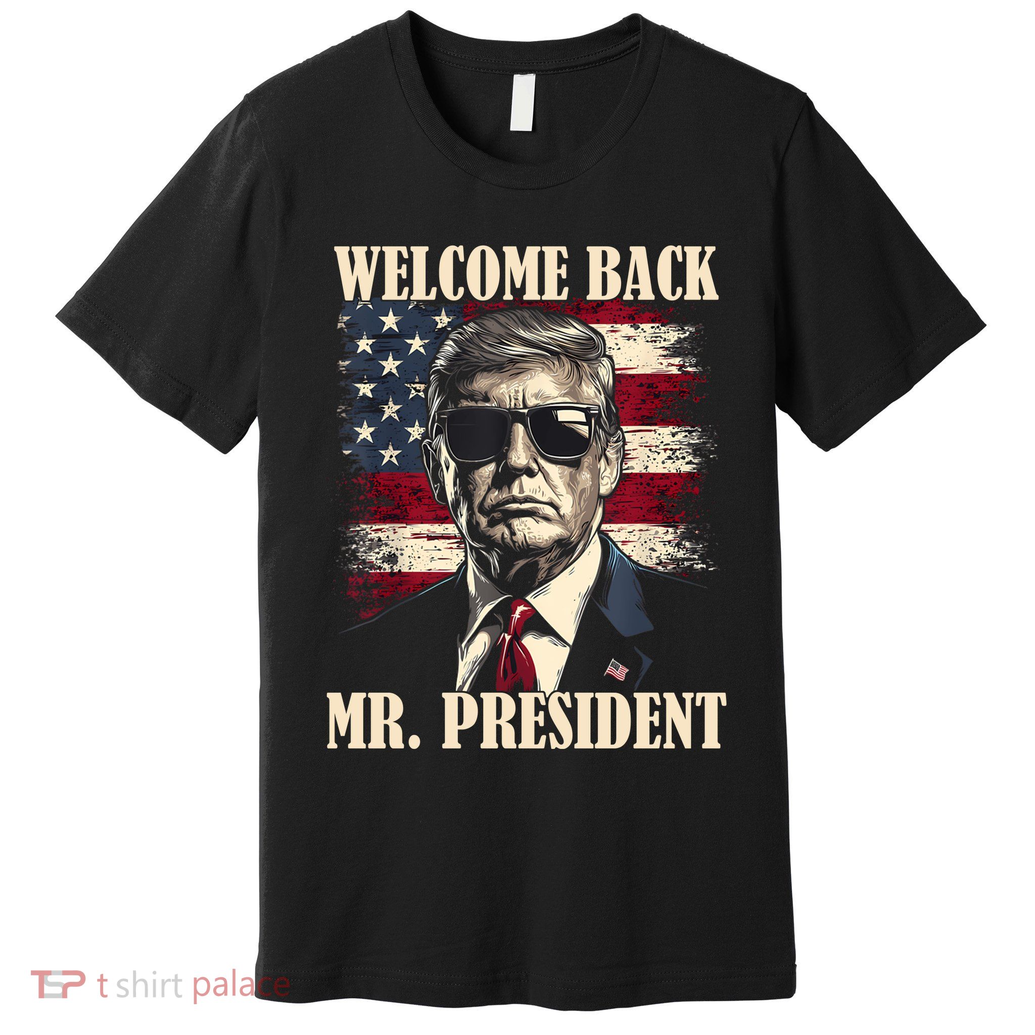 Welcome Back Mr President Donald Trump Victory Premium T-Shirt