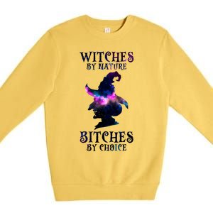 Witches By Nature Bitches By Choice Funny Halloween Witch Meaningful Gift Premium Crewneck Sweatshirt