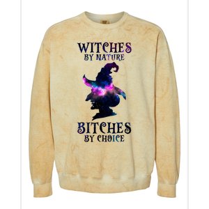 Witches By Nature Bitches By Choice Funny Halloween Witch Meaningful Gift Colorblast Crewneck Sweatshirt