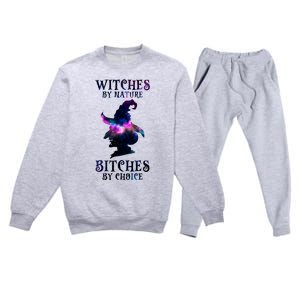 Witches By Nature Bitches By Choice Funny Halloween Witch Meaningful Gift Premium Crewneck Sweatsuit Set