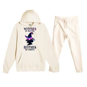 Witches By Nature Bitches By Choice Funny Halloween Witch Meaningful Gift Premium Hooded Sweatsuit Set