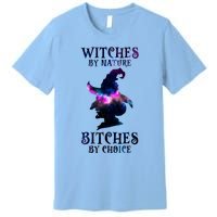 Witches By Nature Bitches By Choice Funny Halloween Witch Meaningful Gift Premium T-Shirt