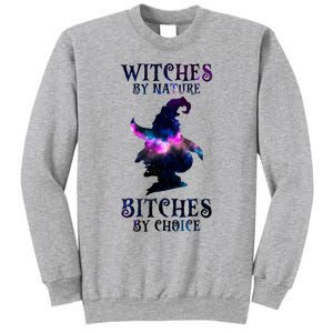 Witches By Nature Bitches By Choice Funny Halloween Witch Meaningful Gift Sweatshirt