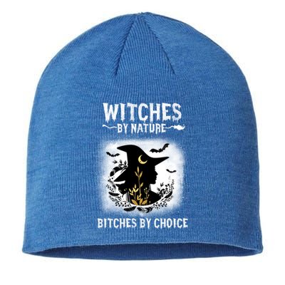 Witches By Nature Bitches By Choice Funny Halloween Gift Sustainable Beanie