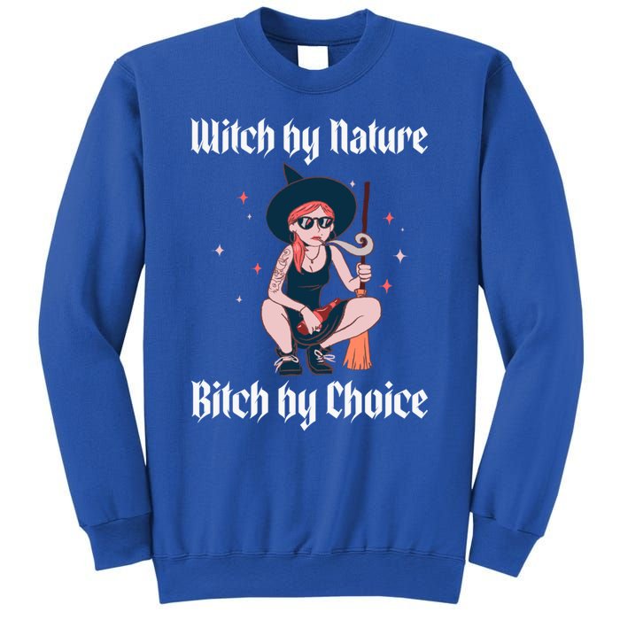 Witch By Nature Bitch By Choice Funny Halloween Witch Quote Cool Gift Sweatshirt