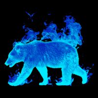 Wild Bear On Fire Cooling Performance Crew T-Shirt