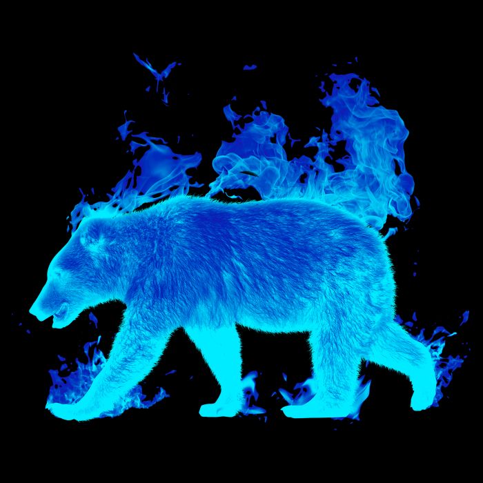 Wild Bear On Fire Cooling Performance Crew T-Shirt
