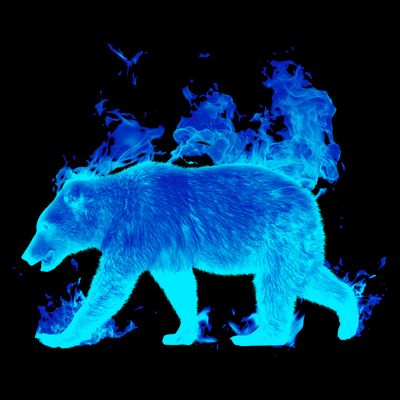 Wild Bear On Fire T-Shirt