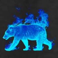 Wild Bear On Fire Trucker Hat