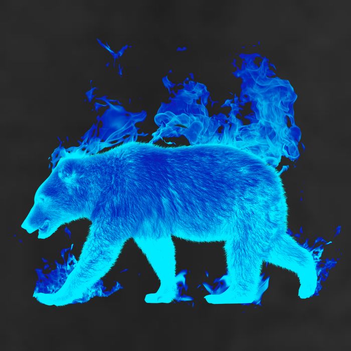 Wild Bear On Fire Trucker Hat