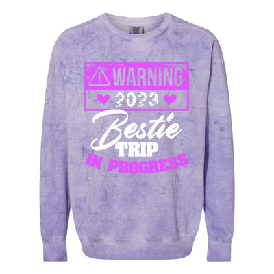 Warning Bestie Reunion Trip In Progress Trip Cute Gift Colorblast Crewneck Sweatshirt