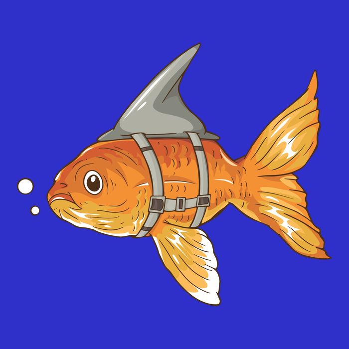 Wanna Be Shark Funny Fish Zip Tote Bag