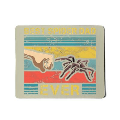 Worlds Best Spider Dad Funny Spider Animal Enthusiast Mousepad