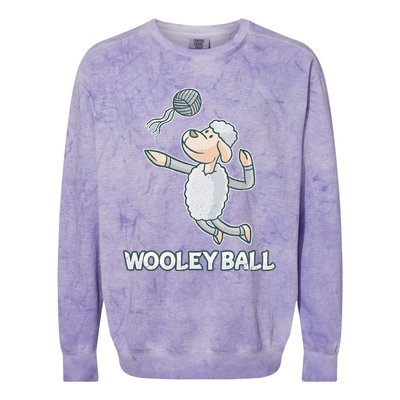 Wooley Ball Sheep Playing Volleyball Wool Lamb Farm Famer Colorblast Crewneck Sweatshirt