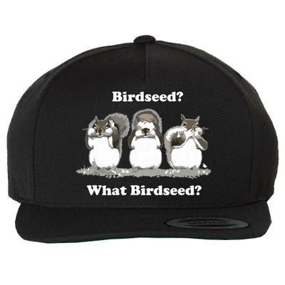 What Birdseed? Squirrel Wool Snapback Cap