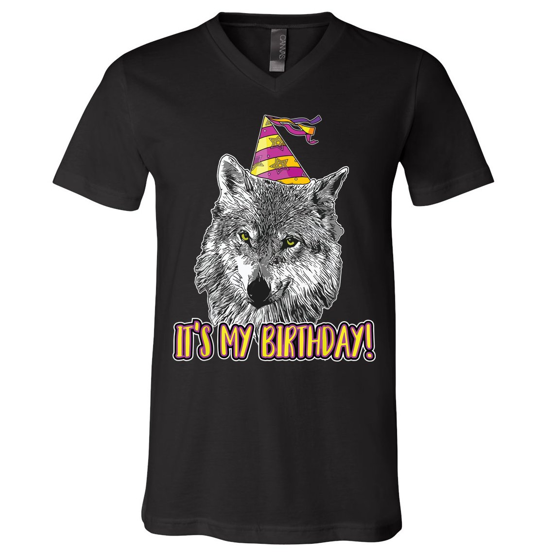 Wolf Birthday Themed Party Wolves Theme Wolf Lover V-Neck T-Shirt