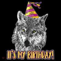 Wolf Birthday Themed Party Wolves Theme Wolf Lover Premium T-Shirt