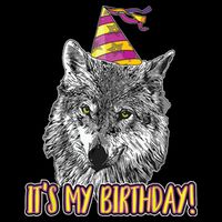 Wolf Birthday Themed Party Wolves Theme Wolf Lover Zip Tote Bag