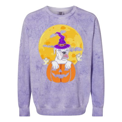 White Boxer Witch Dog Lover Halloween Costume Colorblast Crewneck Sweatshirt