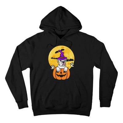 White Boxer Witch Dog Lover Halloween Costume Hoodie