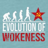 Wokeness Breeds Weakness Sueded Cloud Jersey T-Shirt