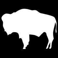Wyoming Bison Backpack