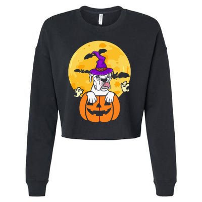 White Boxer Witch Dog Lover Halloween Costume Cropped Pullover Crew