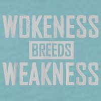 Wokeness Breeds Weakness Sueded Cloud Jersey T-Shirt