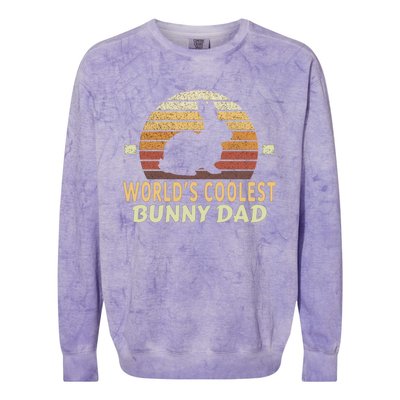 Worlds Coolest Bunny Dad Pet Cute Rabbit Gift Colorblast Crewneck Sweatshirt