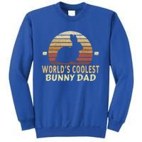 Worlds Coolest Bunny Dad Pet Cute Rabbit Gift Sweatshirt