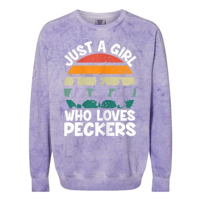 Womens Chicken Butt A Girl Who Loves Peckers Chicken Colorblast Crewneck Sweatshirt