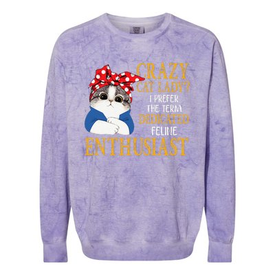 Womens Crazy Cat Lady I Prefer The Term Dedicated Feline Enthusiast Colorblast Crewneck Sweatshirt