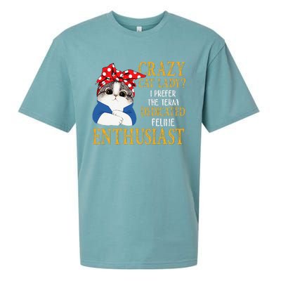 Womens Crazy Cat Lady I Prefer The Term Dedicated Feline Enthusiast Sueded Cloud Jersey T-Shirt