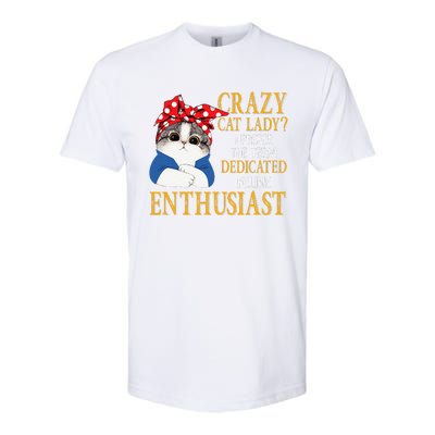 Womens Crazy Cat Lady I Prefer The Term Dedicated Feline Enthusiast Softstyle CVC T-Shirt