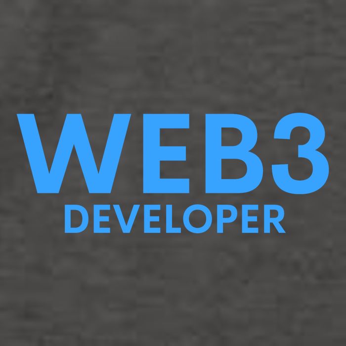 WEB3 Crypto Developer NFT Internet3.0 DeFi Metaverse Web3.0 Vector Backpack