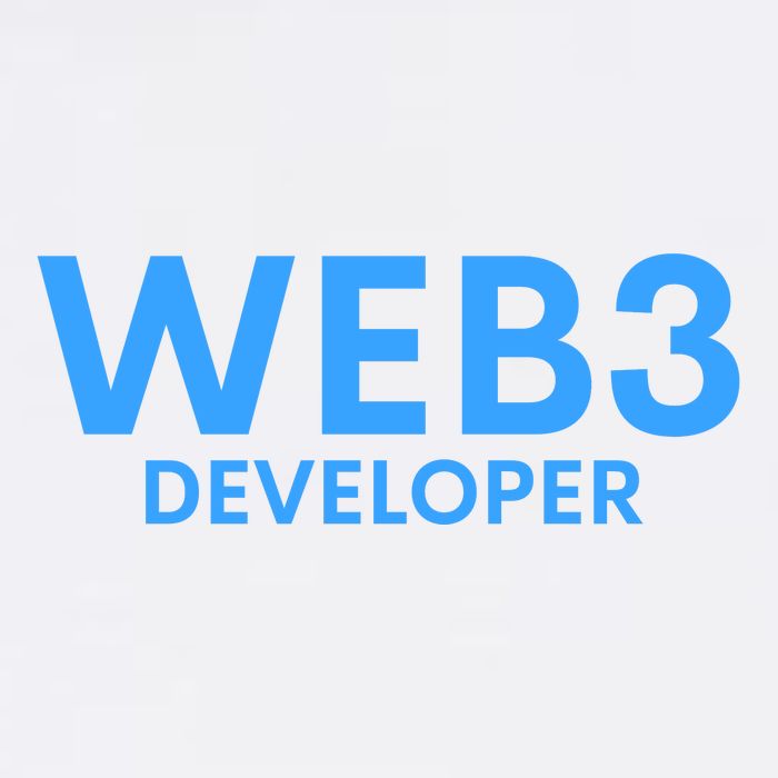 WEB3 Crypto Developer NFT Internet3.0 DeFi Metaverse Web3.0 Sustainable Bucket Hat