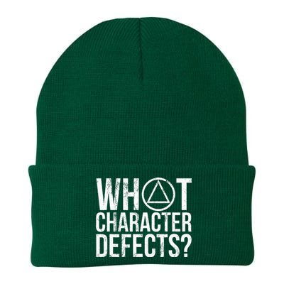 What Character Defects Funny Alcoholics Anonymous Knit Cap Winter Beanie