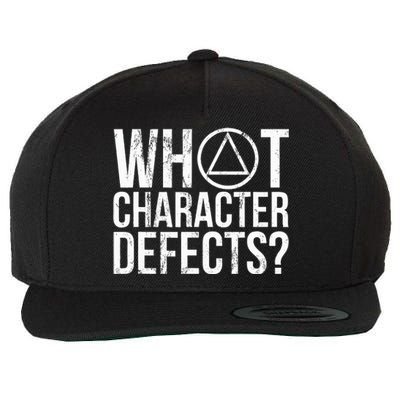 What Character Defects Funny Alcoholics Anonymous Wool Snapback Cap