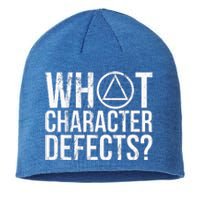 What Character Defects Funny Alcoholics Anonymous Sustainable Beanie