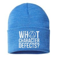 What Character Defects Funny Alcoholics Anonymous Sustainable Knit Beanie