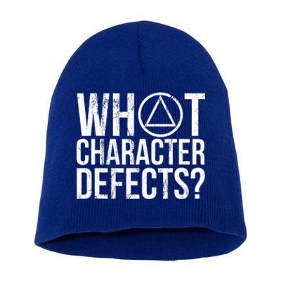 What Character Defects Funny Alcoholics Anonymous Short Acrylic Beanie