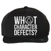What Character Defects Alcoholics Anonymous Wool Snapback Cap