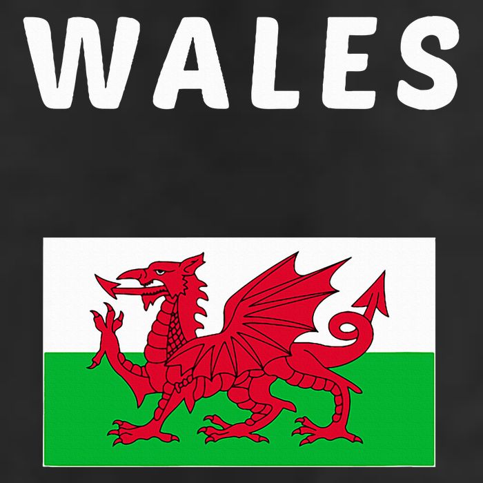 Wales Cymru Flag Souvenir Gift Cardiff Welsh 7 Panel Mesh Trucker Snapback Hat