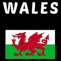 Wales Cymru Flag Souvenir Gift Cardiff Welsh Backpack