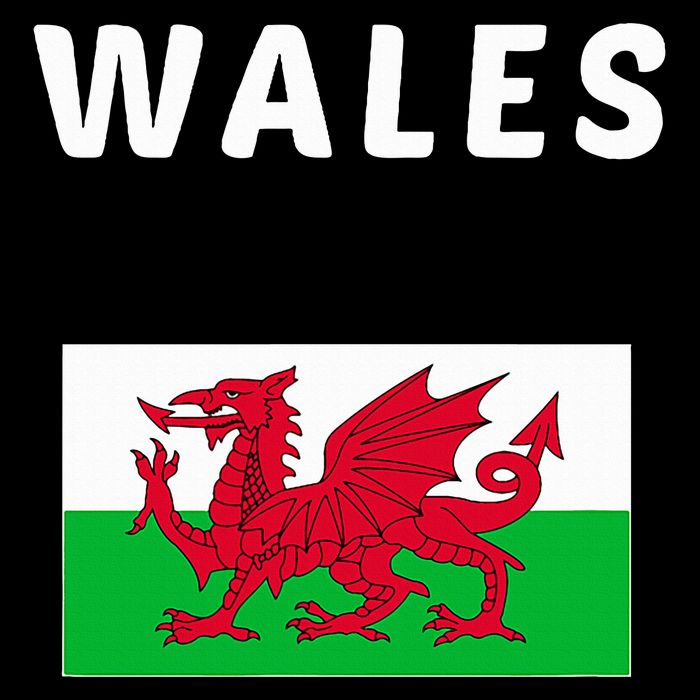 Wales Cymru Flag Souvenir Gift Cardiff Welsh Zip Tote Bag