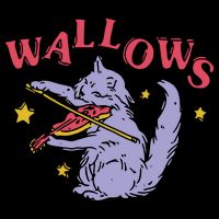 Wallows Cat Fiddle T-Shirt