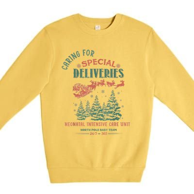 Women Caring For Special Deliveries Nicu Nurse Christmas Premium Crewneck Sweatshirt