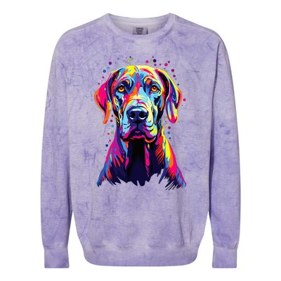 Watercolor Colorful Great Dane Dog Colorblast Crewneck Sweatshirt