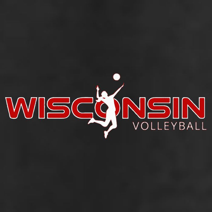 Wi Court Game The Badger State Souvenir Wisconsin Volleyball Tumbler